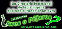 Visitar avesopajaros.com